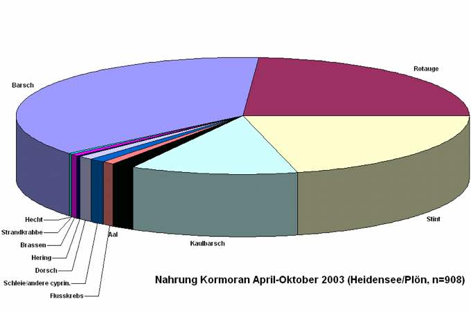 Nahrungsanalyse Kormoran - Grafik: NABU nach Daten MUNF