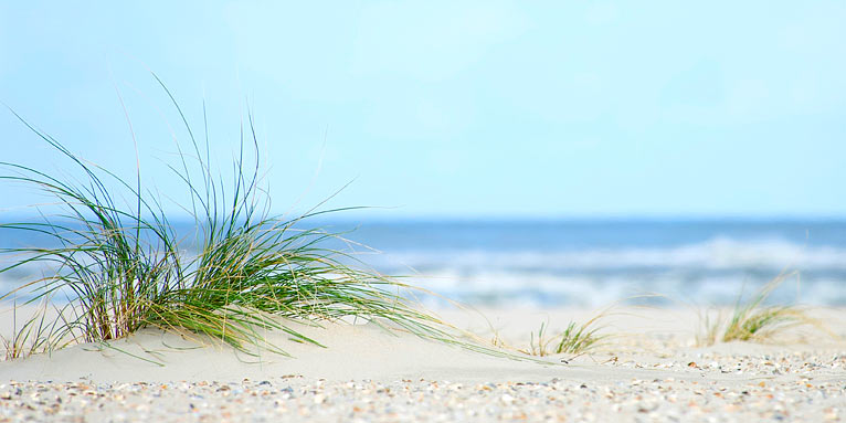 Foto aufgenommen auf einem Strand an der Nordsee. Man sieht hellen Sand, im Vordergrund ein grünes Grasbüschel, im Hintergrund die Wellen und das Meer.