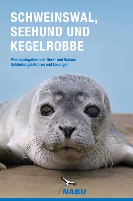 Broschüre Meeressäugetiere - NABU Schleswig-Holstein