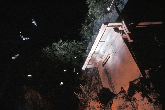 Von Ende Juli bis in den Dezember schwärmen mehrere Fledermausarten vor den Einflügen der Kalkberghöhle, in mancher Nacht gibt es mehrere tausend Flugbewegungen - Foto: Thomas Stephan