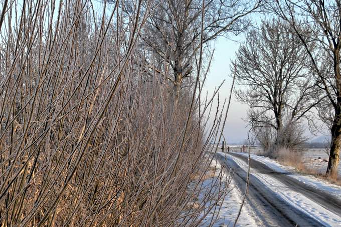 Knick im Winter - Foto: Ingo Ludwichowski