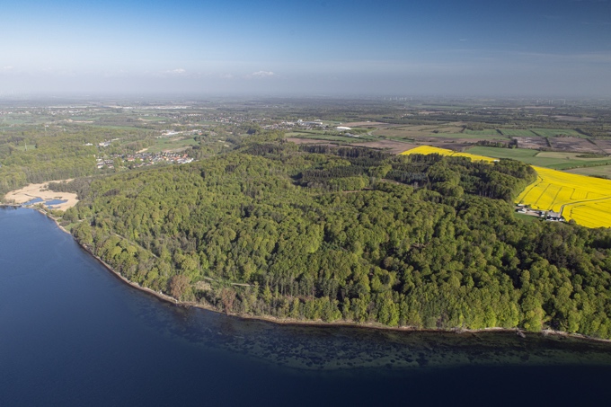 Luftbild vom Kollunder Wald/DK an der Flensburger Förde, am linken Bildrand die Einmündung der Krusau (Grenzverlauf D/DK) - Foto: FOTO-RAKE