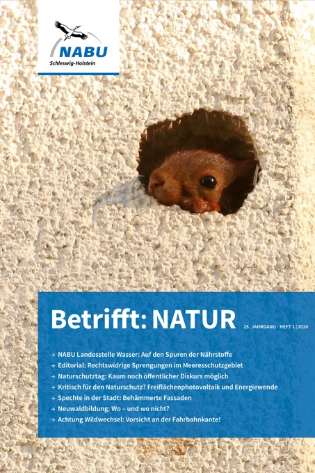 Freiflächenphotovoltaik und Naturschutz - NABU Schleswig-Holstein