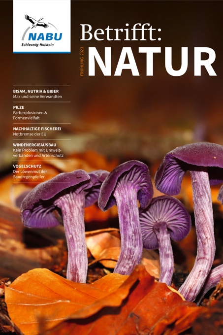 Zeitschrift 'Betrifft: Natur' - Ausgabe 2/2023