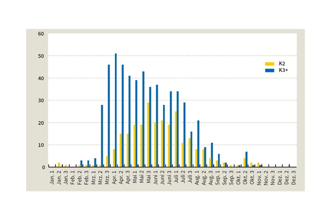 Grafik 2: Ablesungen in Wallnau nestjung markierter Kormorane im 2. (K 2) und weiteren Kalenderjahren (K 3+) in der Kolonie Wallnau - Grafik: NABU