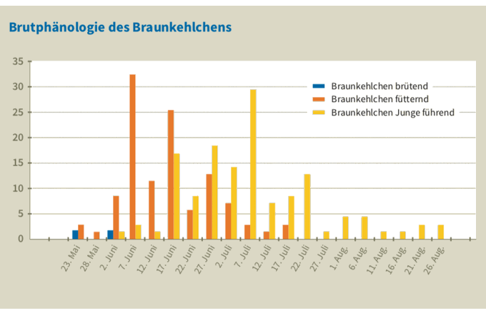 Brutphänologie des Braunkehlchens. Brutverlauf und Mahd fallen zeitlich zuzsammen. - Grafik: NABU / Bernd Koop