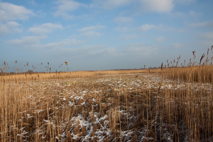 NSG Kronenloch im Winter - Foto: Theresa Petzold