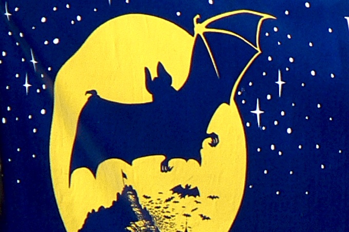 Logo der Europäischen Nacht der Fledermäuse - Foto: Ingo Ludwichowski
