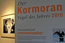 Kormoran, Günter Grass und Willy Brandt