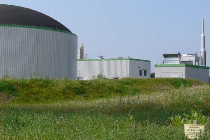 Aus Mais und anderen Substratpflanzen erzeugtes Biogas ist in seiner Umweltbilanz verheerend und bleibt in seinem Beitrag zum Klimaschutz bestenfalls bescheiden. - Foto: Ingo Ludwichowski