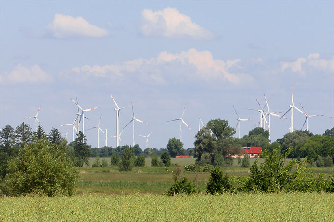 Windparks. An der Westküste Schleswig-Holsteins oft und gerne abgeschaltet, weil die Netze bei gutem Wind den Strom nicht aufnehmen können - oder wollen? [Foto: Helge May]
