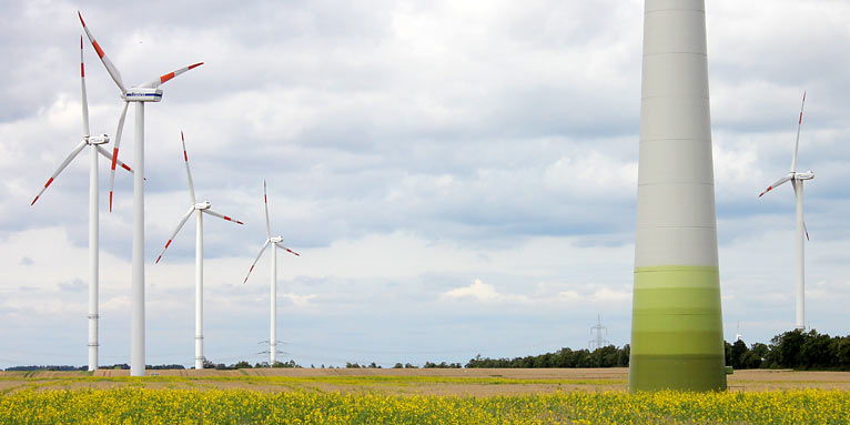 Windpark - Foto: Helge May