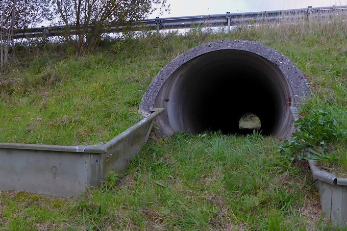 Grüntunnel - Foto: Carsten Pusch